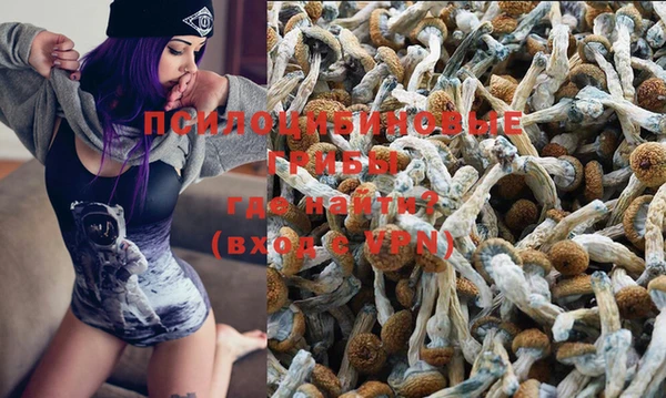 меф Нефтегорск
