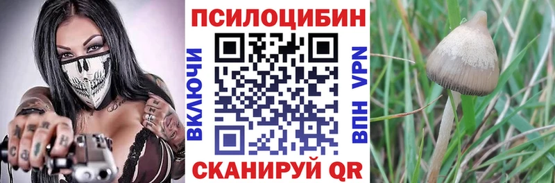omg зеркало  Сертолово  Галлюциногенные грибы ЛСД 